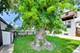 5414 N Menard, Chicago, IL 60630