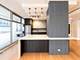 4250 N Marine Unit 716, Chicago, IL 60613