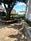 2635 N 73rd, Elmwood Park, IL 60707