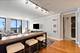 1660 N Lasalle Unit 4003-05, Chicago, IL 60614