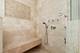 901 W Fletcher Unit 2, Chicago, IL 60657