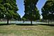 10333 Mayfield Unit 2N, Oak Lawn, IL 60453