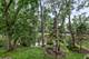 8127 Chestnut Unit 58C, Palos Hills, IL 60465