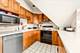 386 E Chicago, Elgin, IL 60120