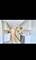 1678 Farwell, Des Plaines, IL 60018