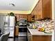 243 Palmgren, Buffalo Grove, IL 60089