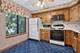 914 Shagbark, New Lenox, IL 60451