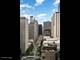118 E Erie Unit 21B, Chicago, IL 60611
