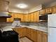 1321 N Baldwin Unit 3A, Palatine, IL 60074