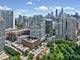 510 W Erie Unit 1303, Chicago, IL 60654