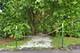 40431 N Fairview, Antioch, IL 60002