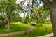 711 E Falcon Unit 201, Arlington Heights, IL 60005