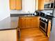 1137 W Taylor Unit 4, Chicago, IL 60607