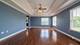 12919 Grande Pines, Plainfield, IL 60585