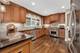 721 S Stone, La Grange, IL 60525