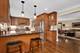 721 S Stone, La Grange, IL 60525