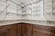 8238 W Balmoral, Chicago, IL 60656