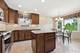 8238 W Balmoral, Chicago, IL 60656