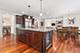 1736 Brian Grant, Downers Grove, IL 60516