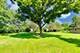 103 Cottonwood, Northbrook, IL 60062