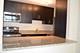 535 N Michigan Unit 1316, Chicago, IL 60611