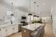 4229 S Princeton, Chicago, IL 60609