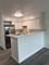 16 E Old Willow Unit 405s, Prospect Heights, IL 60070