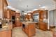 10838 Moose, Orland Park, IL 60467