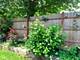 550 S Walnut, Mundelein, IL 60060