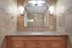 1169 S Plymouth Unit 301, Chicago, IL 60605