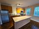 1244 S Blue Island Unit 301, Chicago, IL 60608