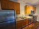 1244 S Blue Island Unit 301, Chicago, IL 60608