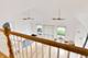 8200 Major, Morton Grove, IL 60053