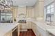 1341 Brophy, Park Ridge, IL 60068