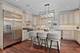1341 Brophy, Park Ridge, IL 60068