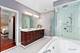 1341 Brophy, Park Ridge, IL 60068