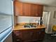7328 N Honore Unit COACHHS-1, Chicago, IL 60626