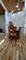 10238 W Wadsworth, Beach Park, IL 60099