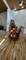 10238 W Wadsworth, Beach Park, IL 60099