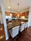 2243 N Lister Unit 401, Chicago, IL 60614