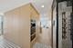 111 E Chestnut Unit PH-AB, Chicago, IL 60611