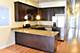 1803 W Superior Unit 1, Chicago, IL 60622