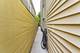 3509 W Dickens, Chicago, IL 60647