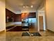 1211 S Prairie Unit 3702, Chicago, IL 60605