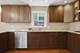 3859 N Cumberland, Chicago, IL 60634