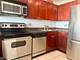 655 W Irving Park Unit 4907, Chicago, IL 60613