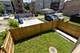 1913 S Troy, Chicago, IL 60623