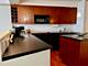 300 N State Unit 4210, Chicago, IL 60654