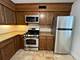 2416 W Foster Unit 1N, Chicago, IL 60625