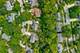1628 Trent, Naperville, IL 60563